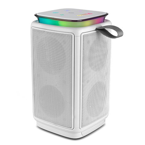 SPEAKER PBSE46