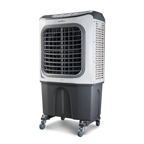 CLIMATIZADOR BCL70 127V
